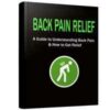 Back Pain Relief