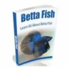 Betta Fish