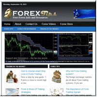 Forex PLR Blog