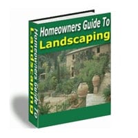 Guide To Landscaping