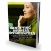 Identifying Business Opportunities