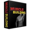 Muscle Building Software