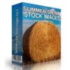 Summer’s End Stock Image Volume 2