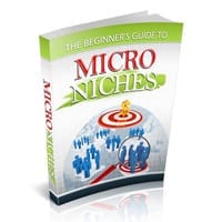 The Beginner's Guide to Micro Niches