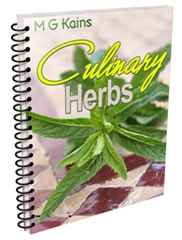 Culinary Herbs