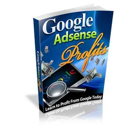 Google AdSense Profit