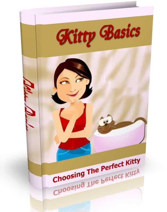 Kitty Basics