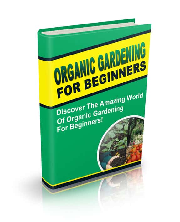 Organic Gardening For Beginners