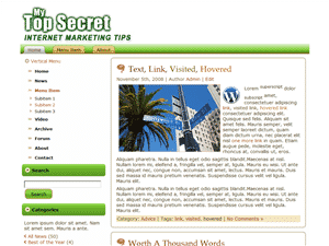 Top Secret WordPress Theme