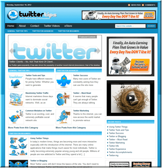 Twitter Niche Site