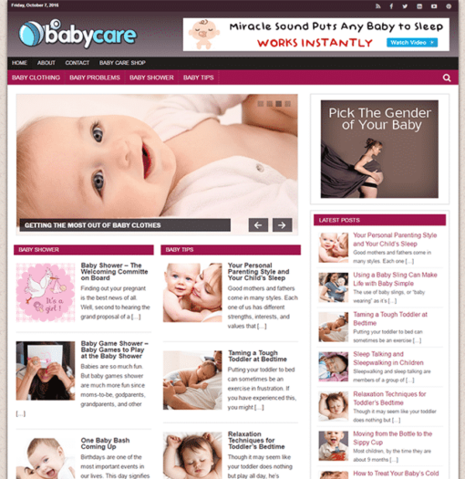 Baby Care PLR Blog - Image 5