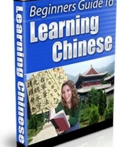 Beginners Guide To Learning Chinese