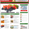 Diabetic Diet Niche PLR Website