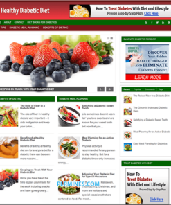 Diabetic Diet Niche PLR Website