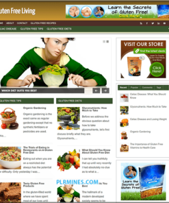 Gluten Free Recipes Premade Blog