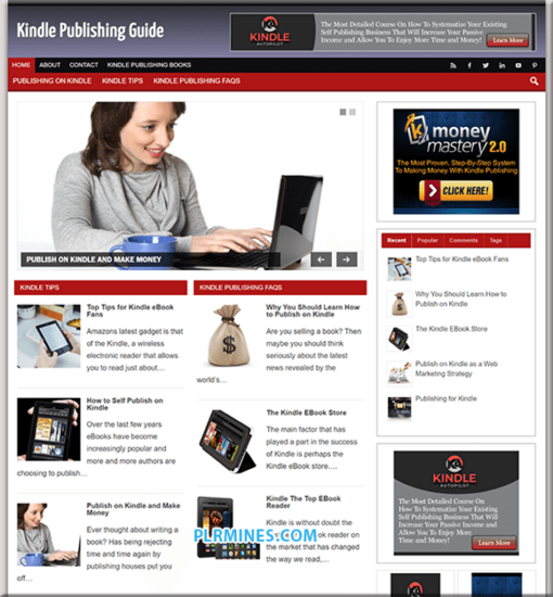 Kindle Publishing Niche PLR Blog - Image 3