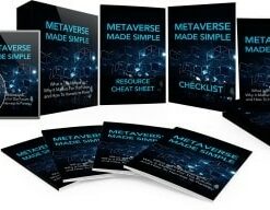 Metaverse Made Simple Video Course