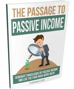 The Passage to Passive Income eBook with PLR