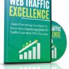 Web Traffic Excellence