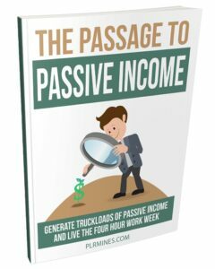 the passage to passive income ebook with plr